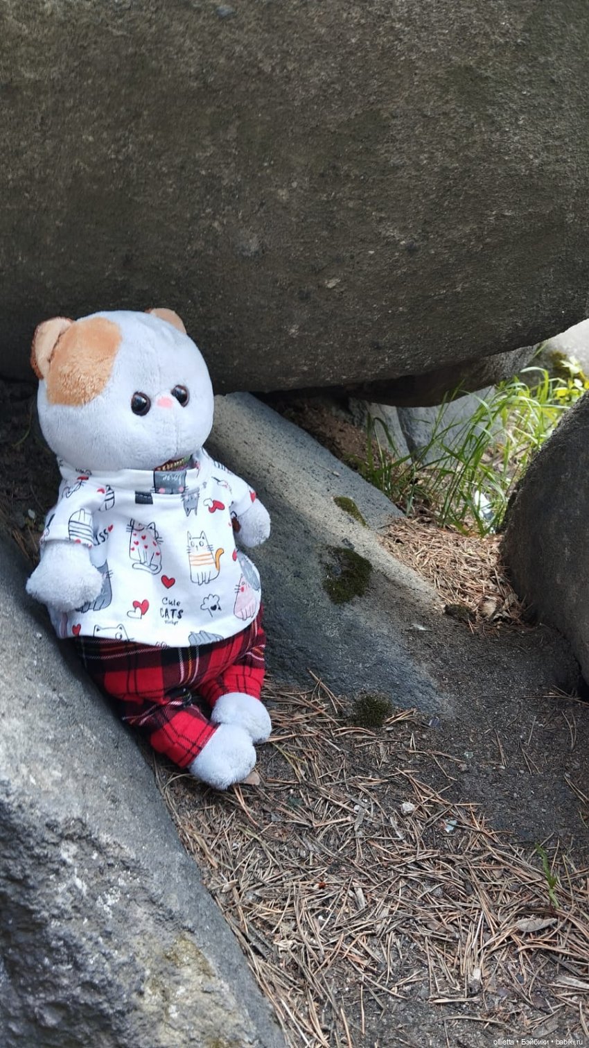 С Муськой на Каменные палатки (фото 3)