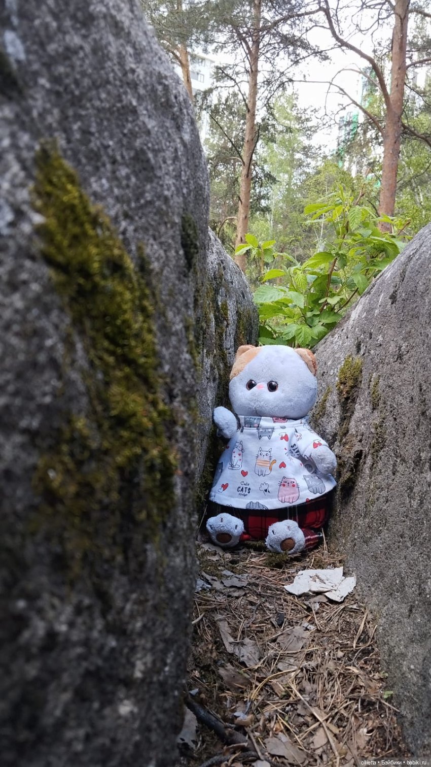 С Муськой на Каменные палатки (фото 2)