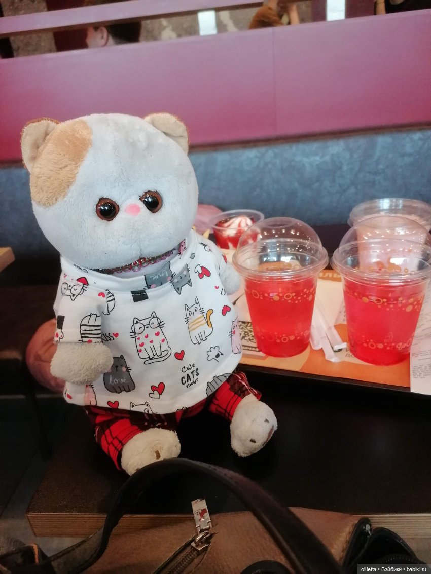 С Муськой на Каменные палатки