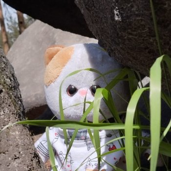 С Муськой на Каменные палатки