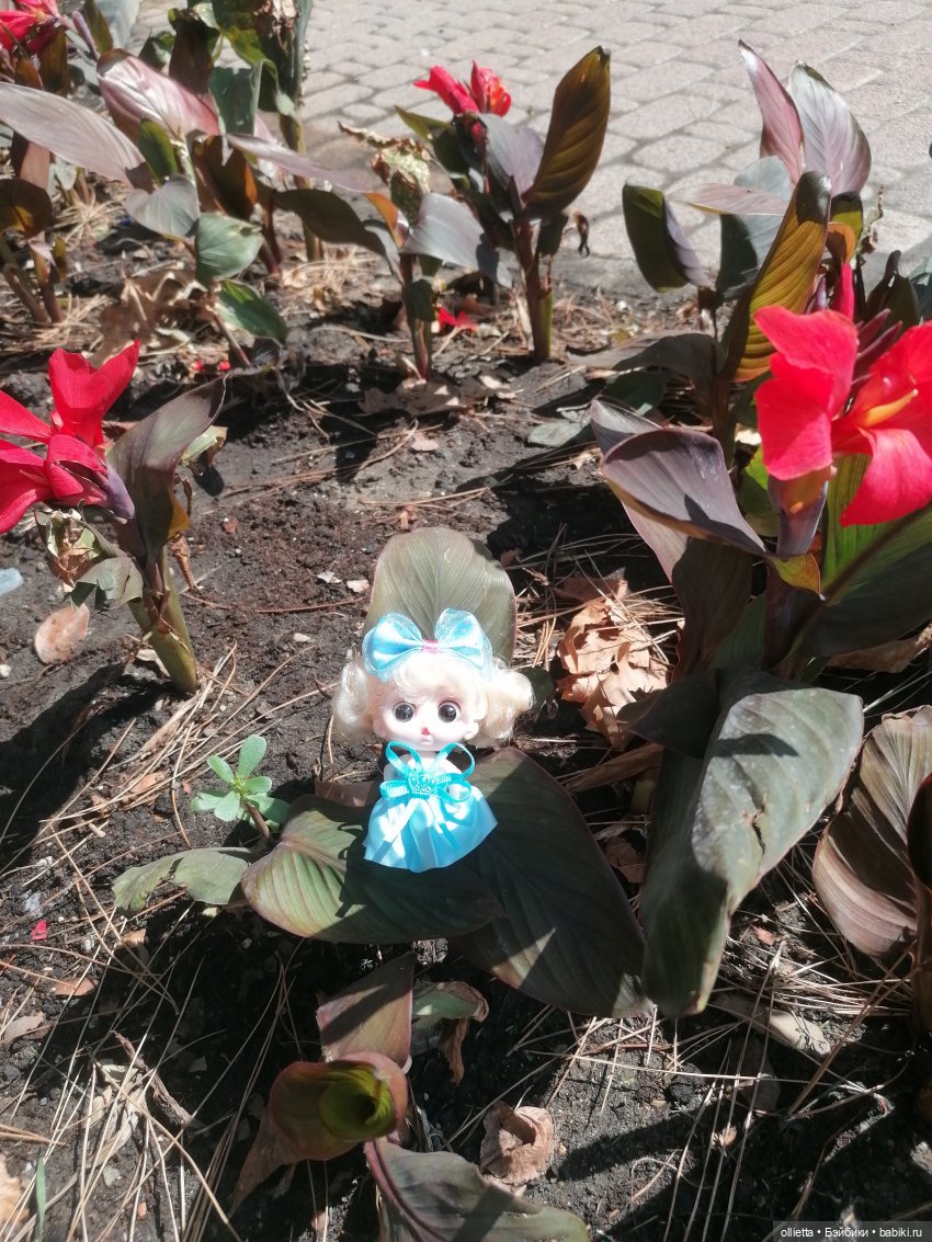 Первое путешествие вдвоем с куклой (фото 9)