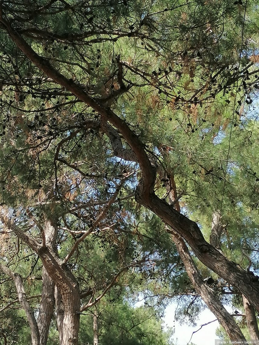 Первое путешествие вдвоем с куклой