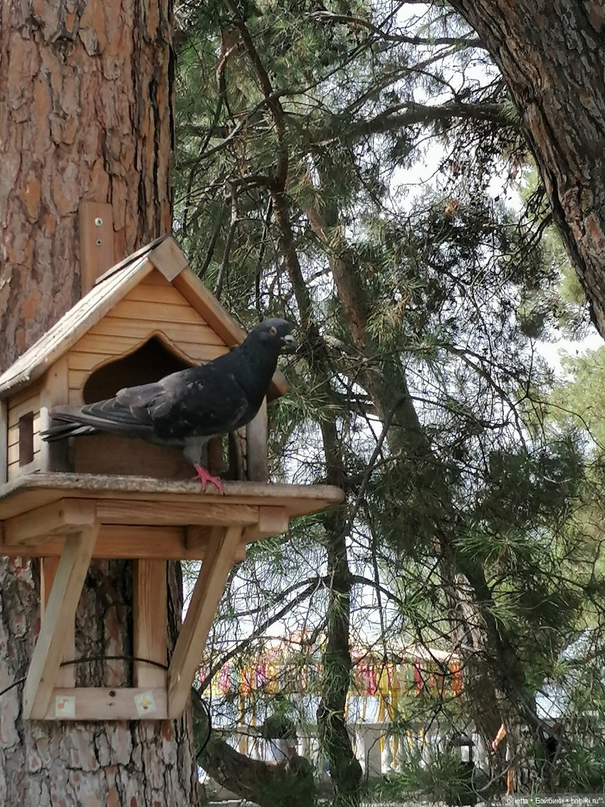 Первое путешествие вдвоем с куклой