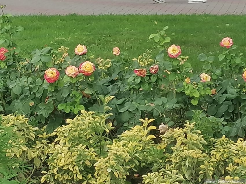 Первое путешествие вдвоем с куклой