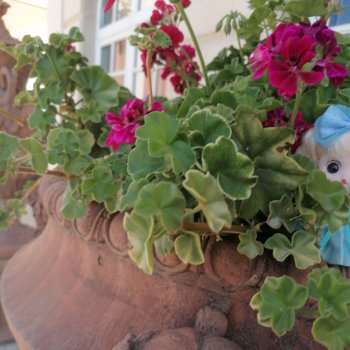 Первое путешествие вдвоем с куклой