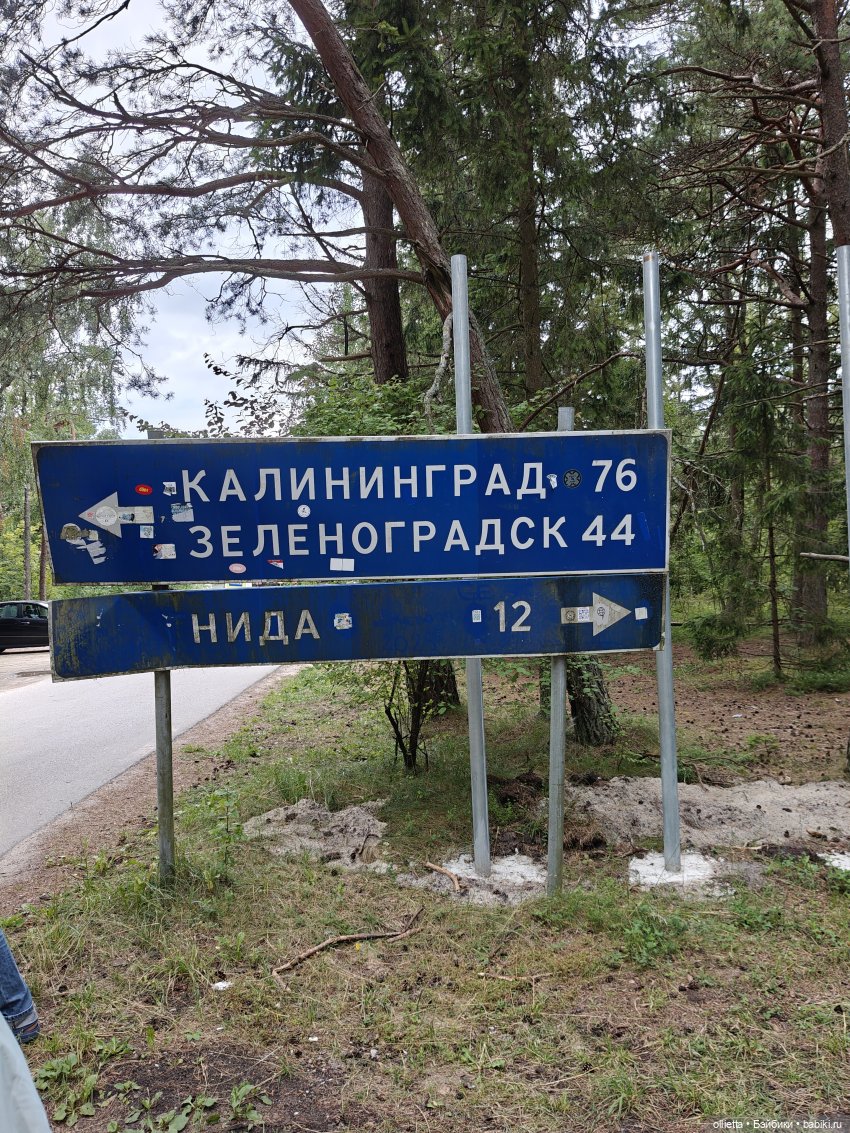Куршская коса: две недели среди дюн и сосен
