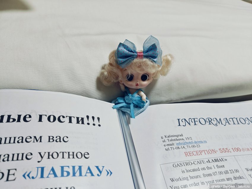Куршская коса: две недели среди дюн и сосен