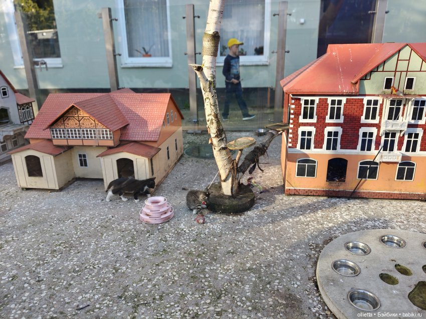 Котомания с Котовасией — Туризм и путешествия: фотоотчеты из поездок (фото 10)