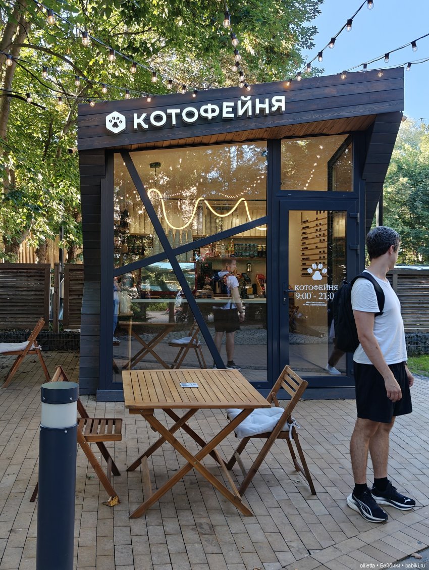 Котомания с Котовасией — Туризм и путешествия: фотоотчеты из поездок