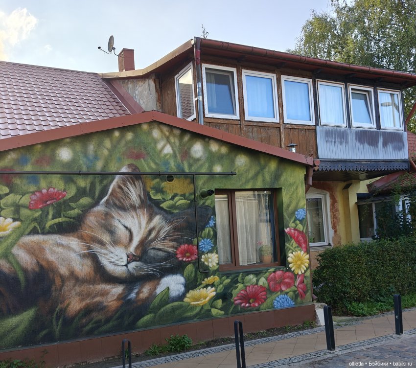 Котомания с Котовасией — Туризм и путешествия: фотоотчеты из поездок (фото 2)
