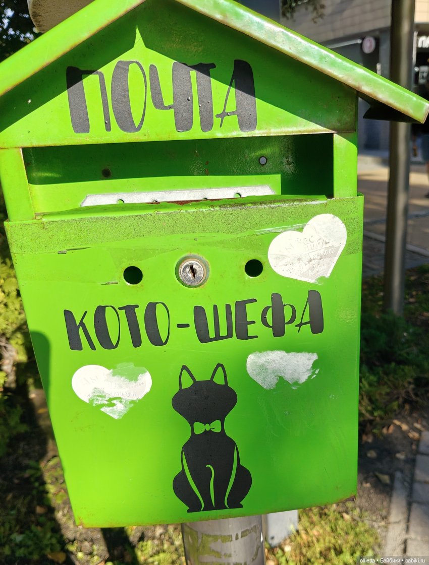 Котомания с Котовасией — Туризм и путешествия: фотоотчеты из поездок