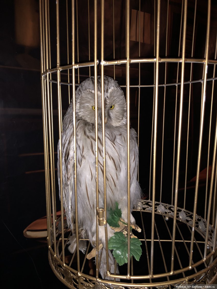 Выставка Мир Гарри Поттера 👻🧹🧙‍♀️✌🏻🐍 (фото 8)