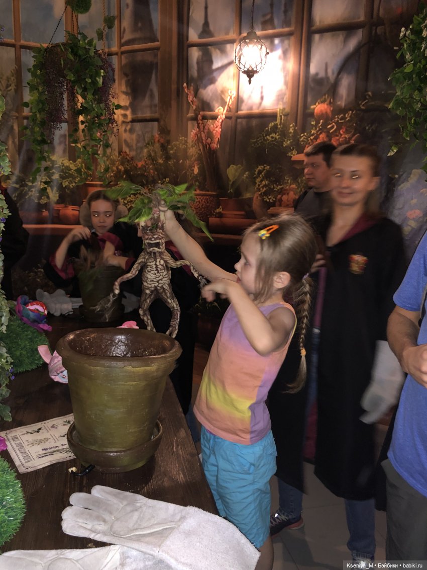 Выставка Мир Гарри Поттера 👻🧹🧙‍♀️✌🏻🐍