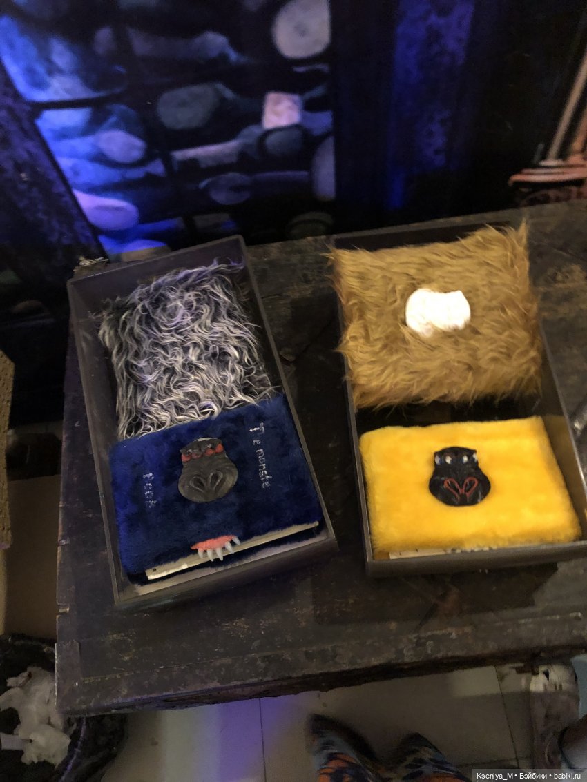 Выставка Мир Гарри Поттера 👻🧹🧙‍♀️✌🏻🐍