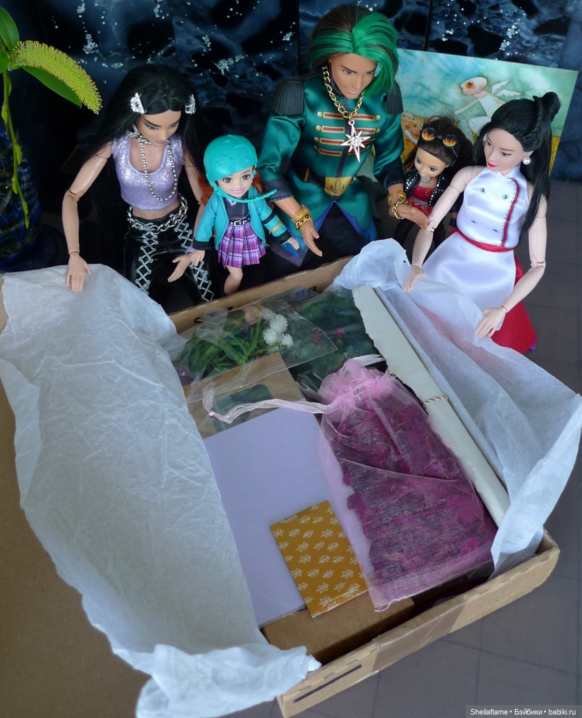 Чудеса нашего сайта, или первая распаковка (фото 5)