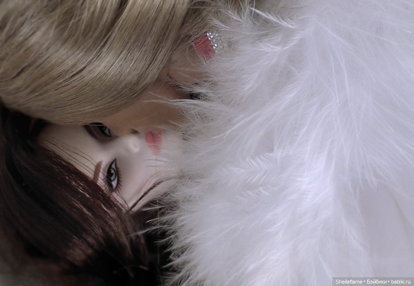 Angeli — Музыкальные конкурсы и фестивали кукол: концерты