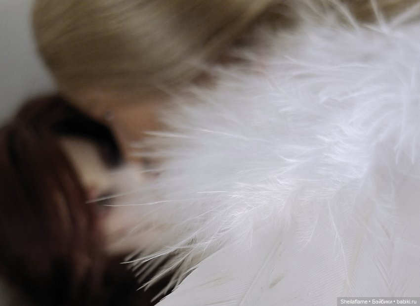 Angeli — Музыкальные конкурсы и фестивали кукол: концерты