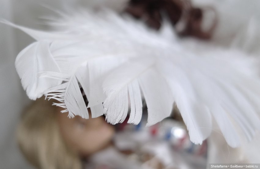 Angeli — Музыкальные конкурсы и фестивали кукол: концерты