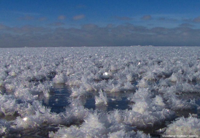 Сильвана на Краю Земли. Ледяной мир (фото 7)