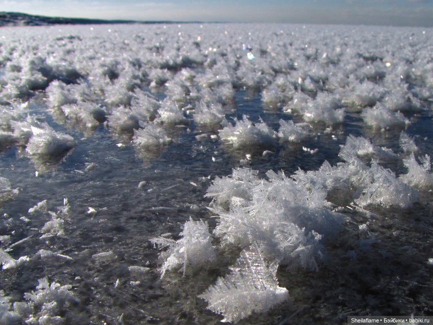 Сильвана на Краю Земли. Ледяной мир (фото 6)
