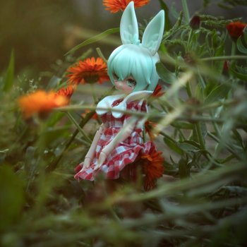 Яринта - самый залюбленный заяц.