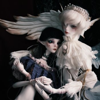 Обнимай меня крыльями 🪽