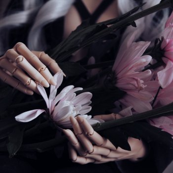 🌾𝓯𝓵𝓸𝔀𝓮𝓻𝓼 𝓪𝓷𝓭 𝓭𝓸𝓵𝓵𝓼🧸