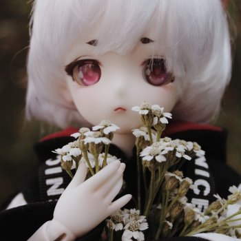 Тим и уходящее лето 🌾🌄🌾