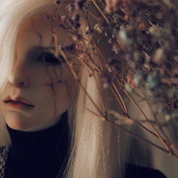 𝓡𝓮𝓷𝓮' 🌾