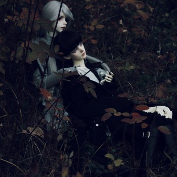 🍂𝓛𝓲𝓴𝓪𝔂 & 𝓔𝓶𝓲𝓵𝓮𝓽 🍂