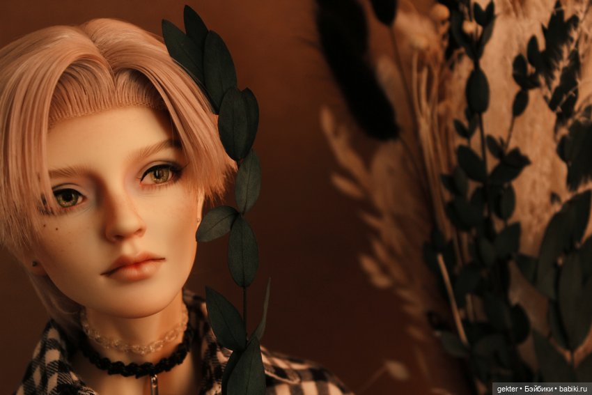 Абсолютный портрет — Коллекции кукол BJD (БЖД): фото витрин (фото 7)