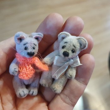 Два микро зверька и море позитива