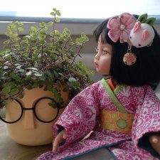 Выгул кимоно