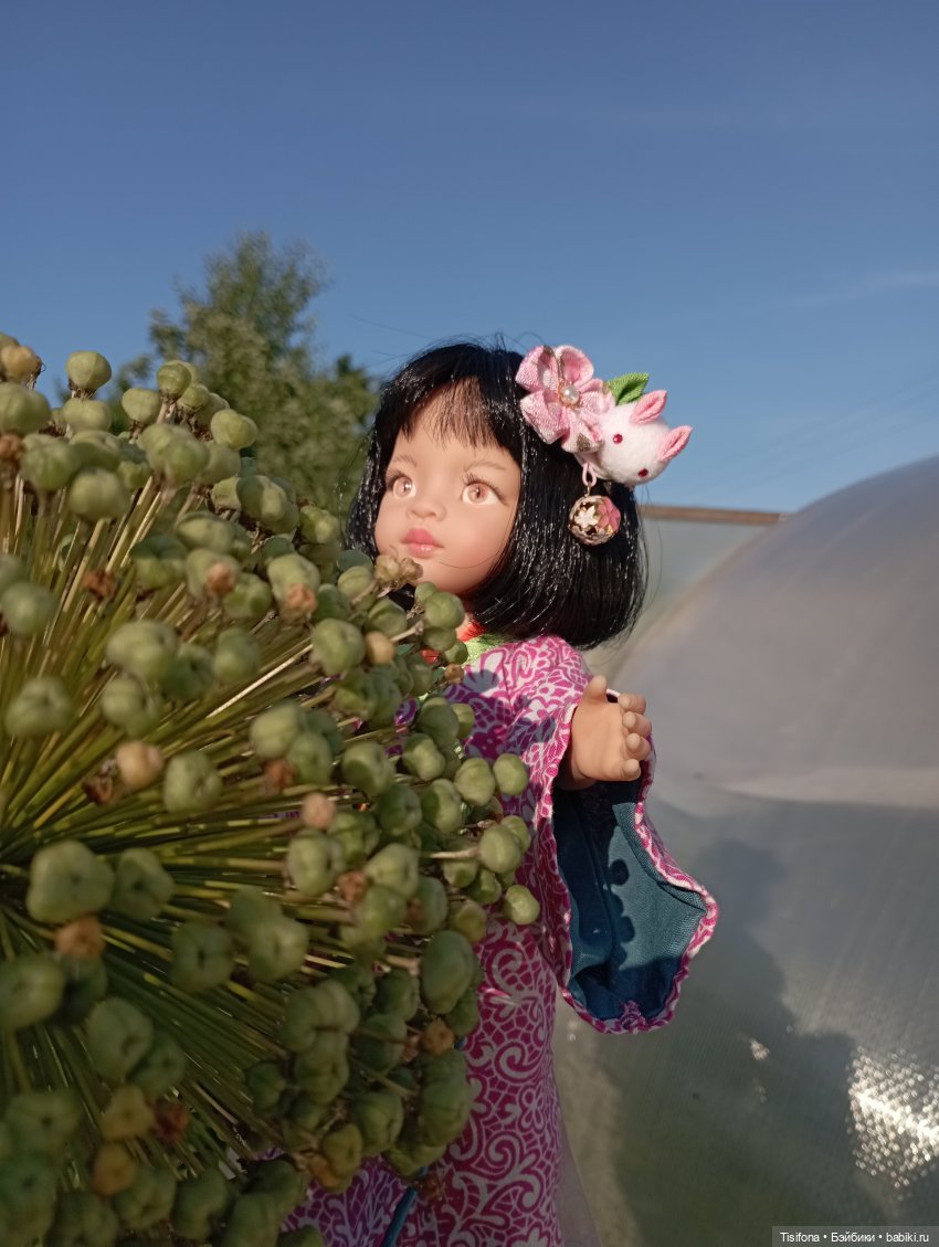 Выгул кимоно — Куклы Paola Reina (Паола Рейна): новинки