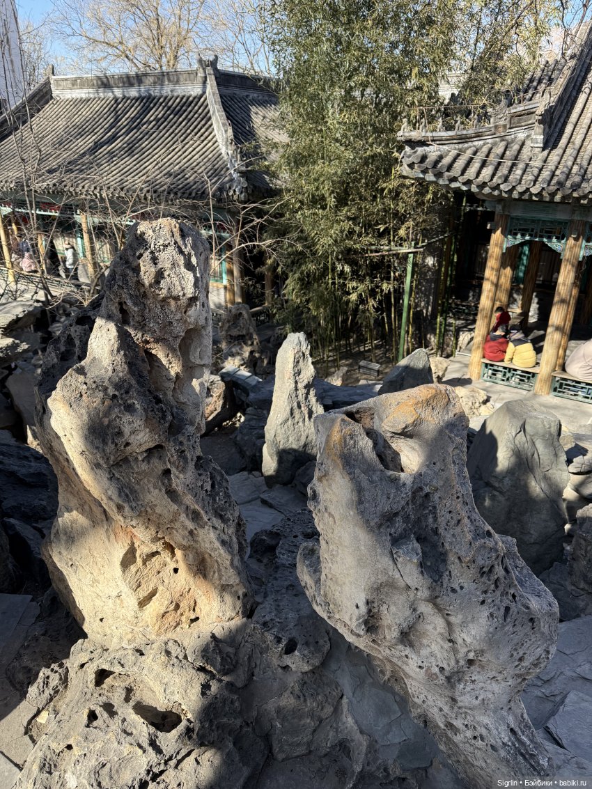 Женькины экскурсии ч.2 — Туризм и путешествия: фотоотчеты из поездок (фото 8)