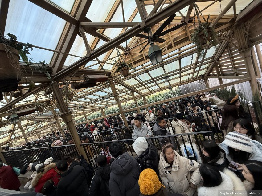 Женькины экскурсии ч. 3 — Туризм и путешествия: фотоотчеты из поездок (фото 4)