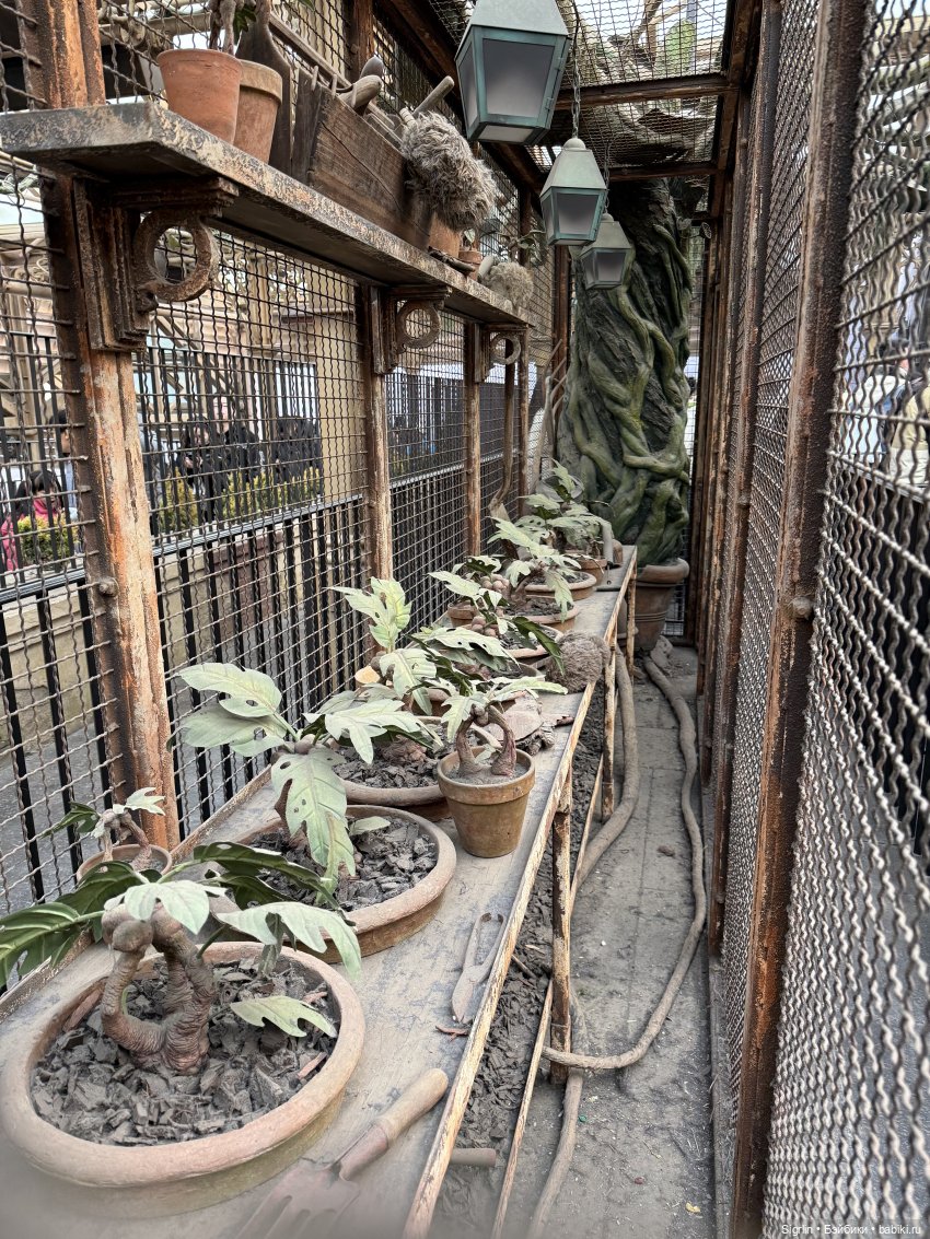 Женькины экскурсии ч. 3 — Туризм и путешествия: фотоотчеты из поездок (фото 5)