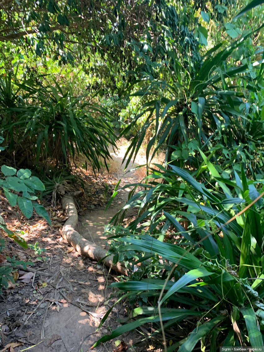 Внезапный новый друг — Фотоистории с куклами BJD (БЖД): сериалы (фото 2)