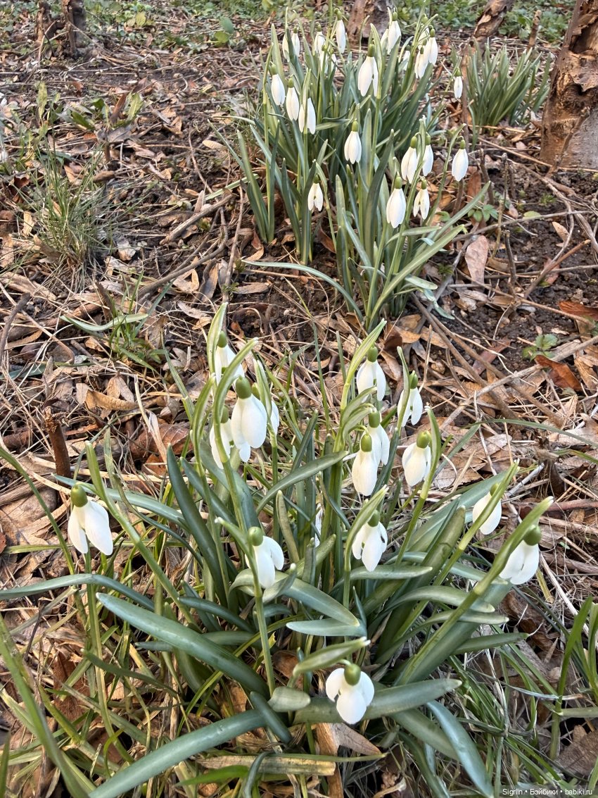 Лето на крошечной ладошке