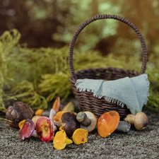 Грибы из полимерной глины