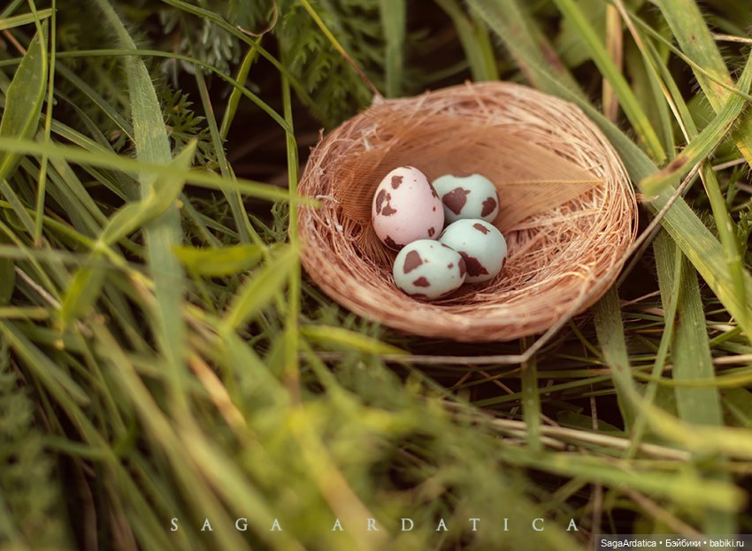 Пикник в полях | Бэйбики Пикник в полях — Куклы Monster High и Ever After High: G1 (фото 6)