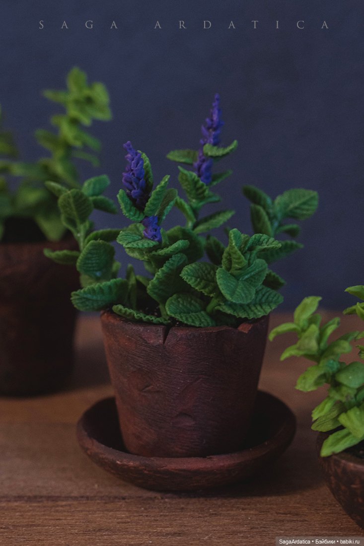 Аптекарский огород в миниатюре (фото 5)