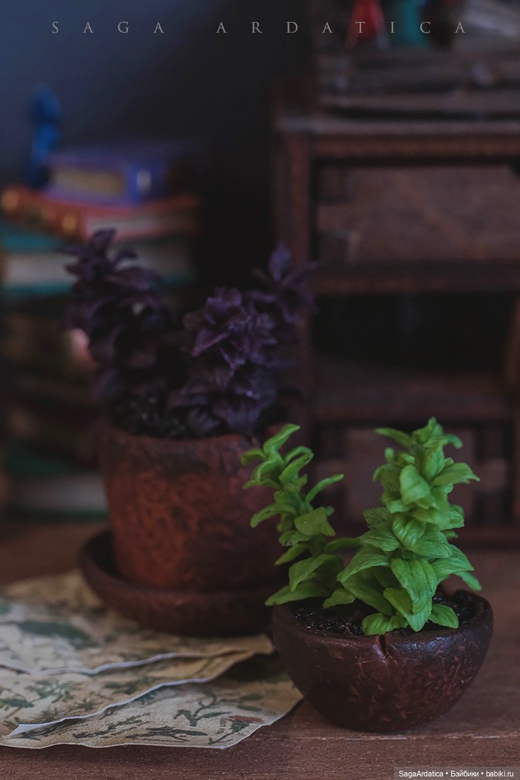 Аптекарский огород в миниатюре