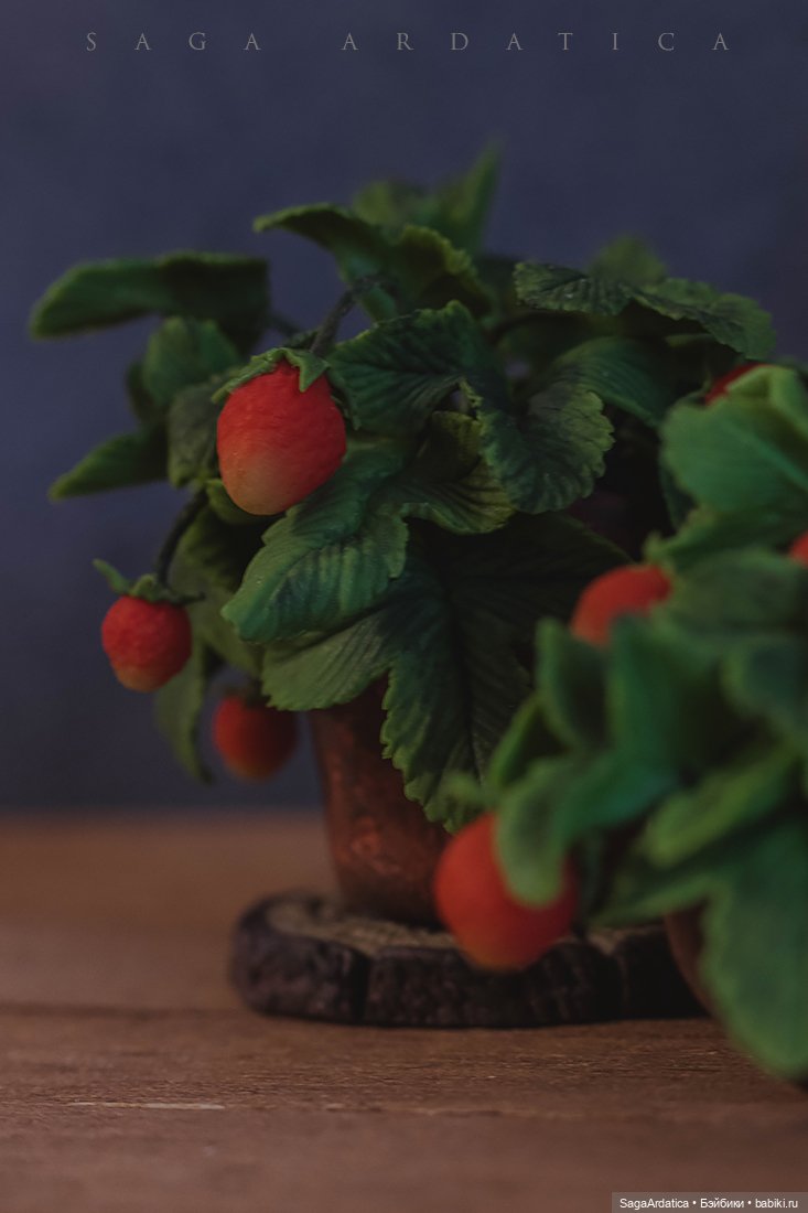 Аптекарский огород в миниатюре (фото 7)