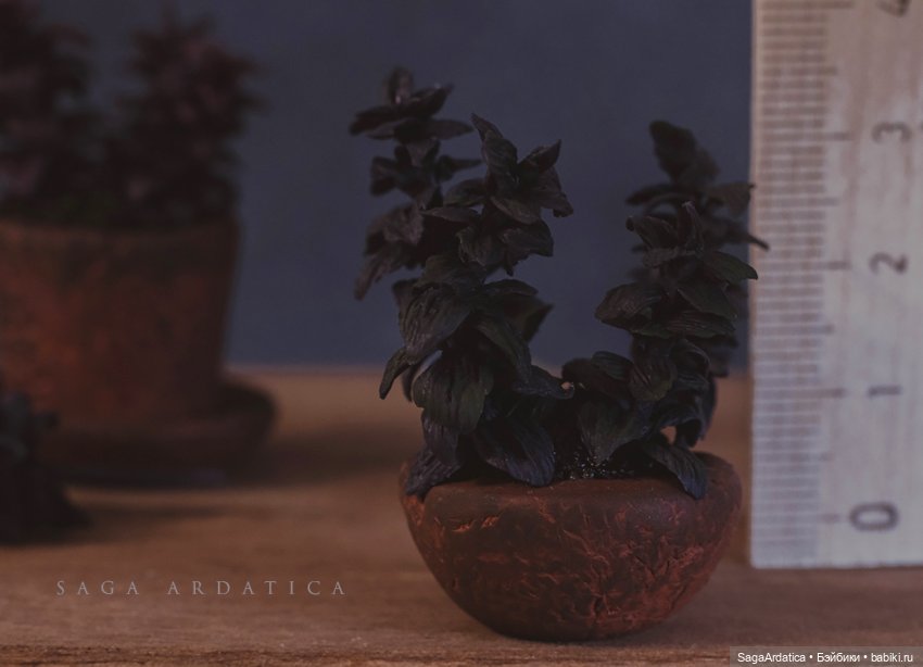 Аптекарский огород в миниатюре (фото 3)