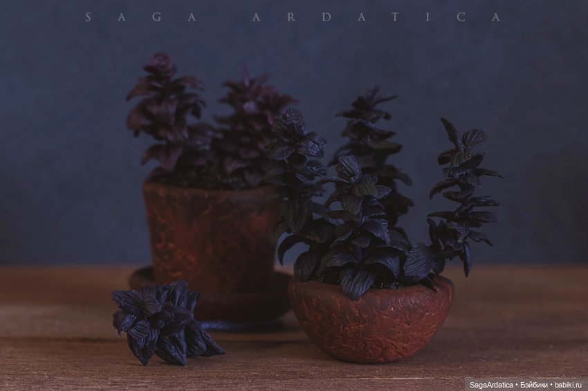 Аптекарский огород в миниатюре (фото 2)