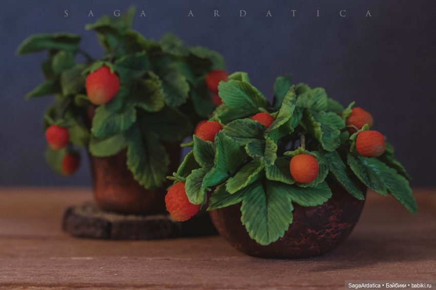 Аптекарский огород в миниатюре (фото 6)