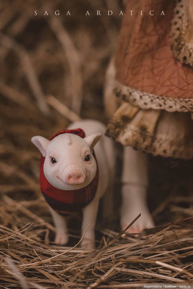 Айкина история — Фотоистории с куклами BJD (БЖД): сериалы (фото 2)