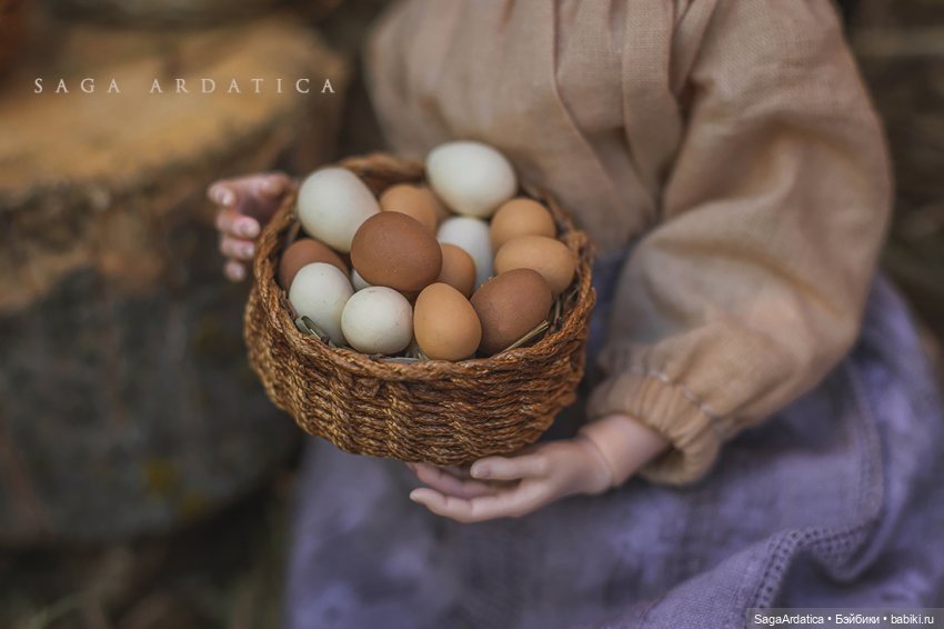 Сельские будни: Агатин птичник (фото 3)