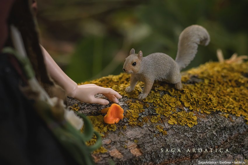 В лес, по грибы — Фотоистории с куклами BJD (БЖД): сериалы (фото 5)